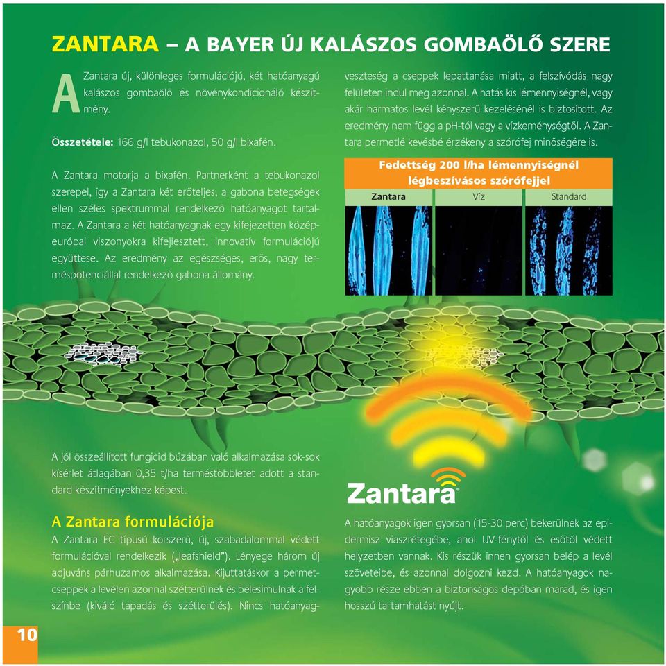 A Zantara a két hatóanyagnak egy kifejezetten középeurópai viszonyokra kifejlesztett, innovatív formulációjú együttese.