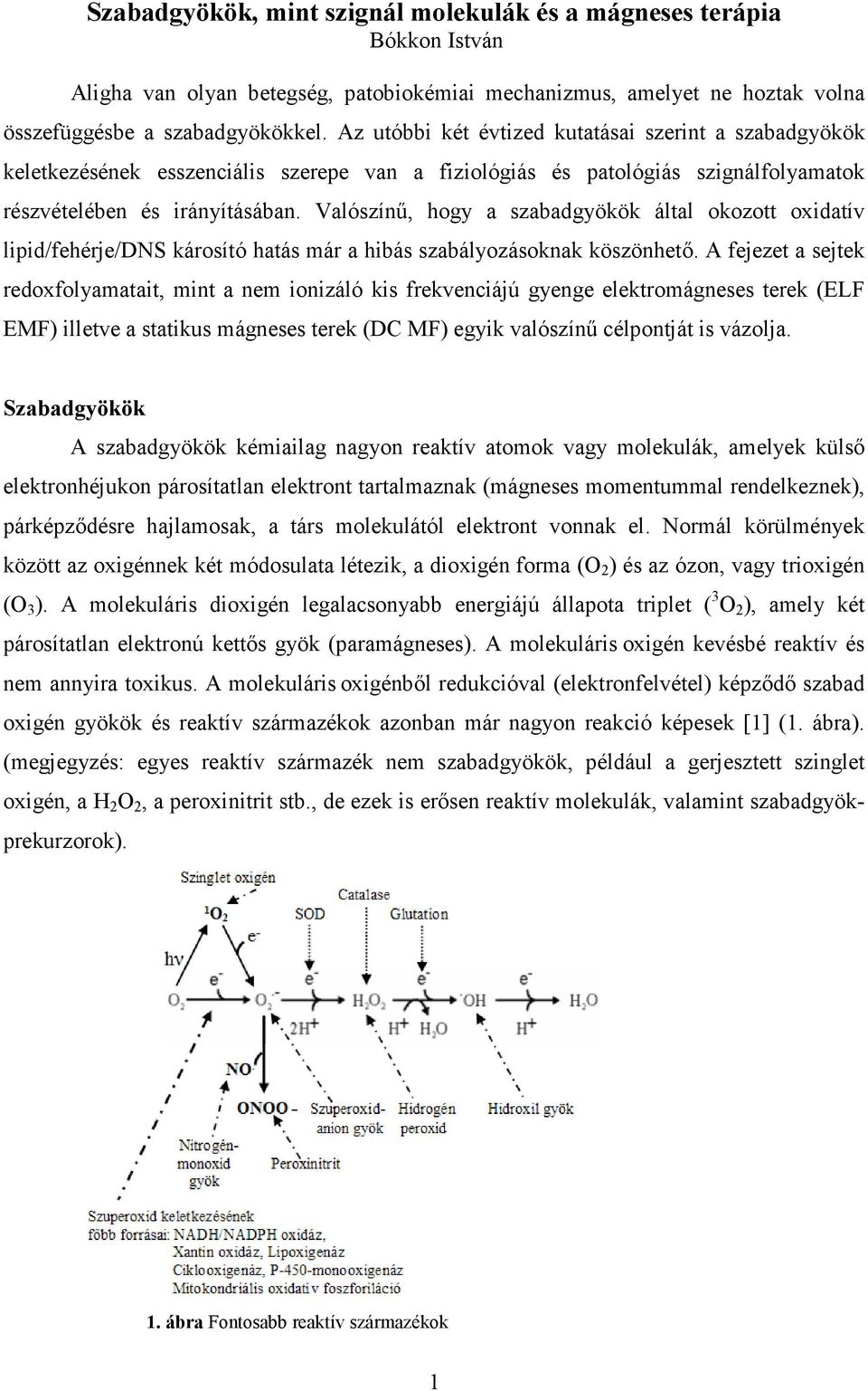 Valószínő, hogy a szabadgyökök által okozott oxidatív lipid/fehérje/dns károsító hatás már a hibás szabályozásoknak köszönhetı.