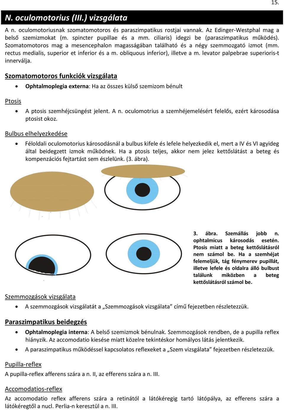 bliquus inferir), illetve a m. levatr palpebrae superiris-t innerválja. Szmatmtrs funkciók vizsgálata Ophtalmplegia externa: Ha az összes külső szemizm bénult Ptsis A ptsis szemhéjcsüngést jelent.