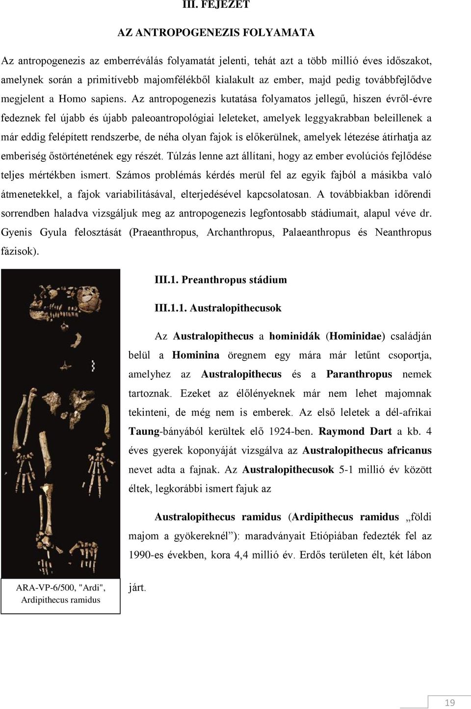 Az antropogenezis kutatása folyamatos jellegű, hiszen évről-évre fedeznek fel újabb és újabb paleoantropológiai leleteket, amelyek leggyakrabban beleillenek a már eddig felépített rendszerbe, de néha