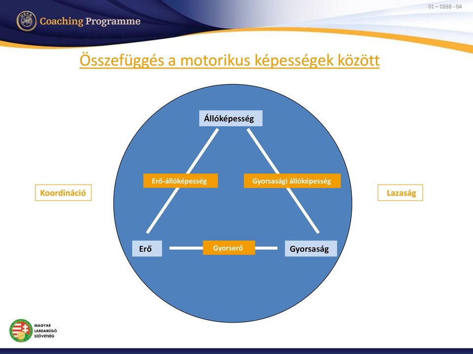 Erő-állóképesség Gyorsasági