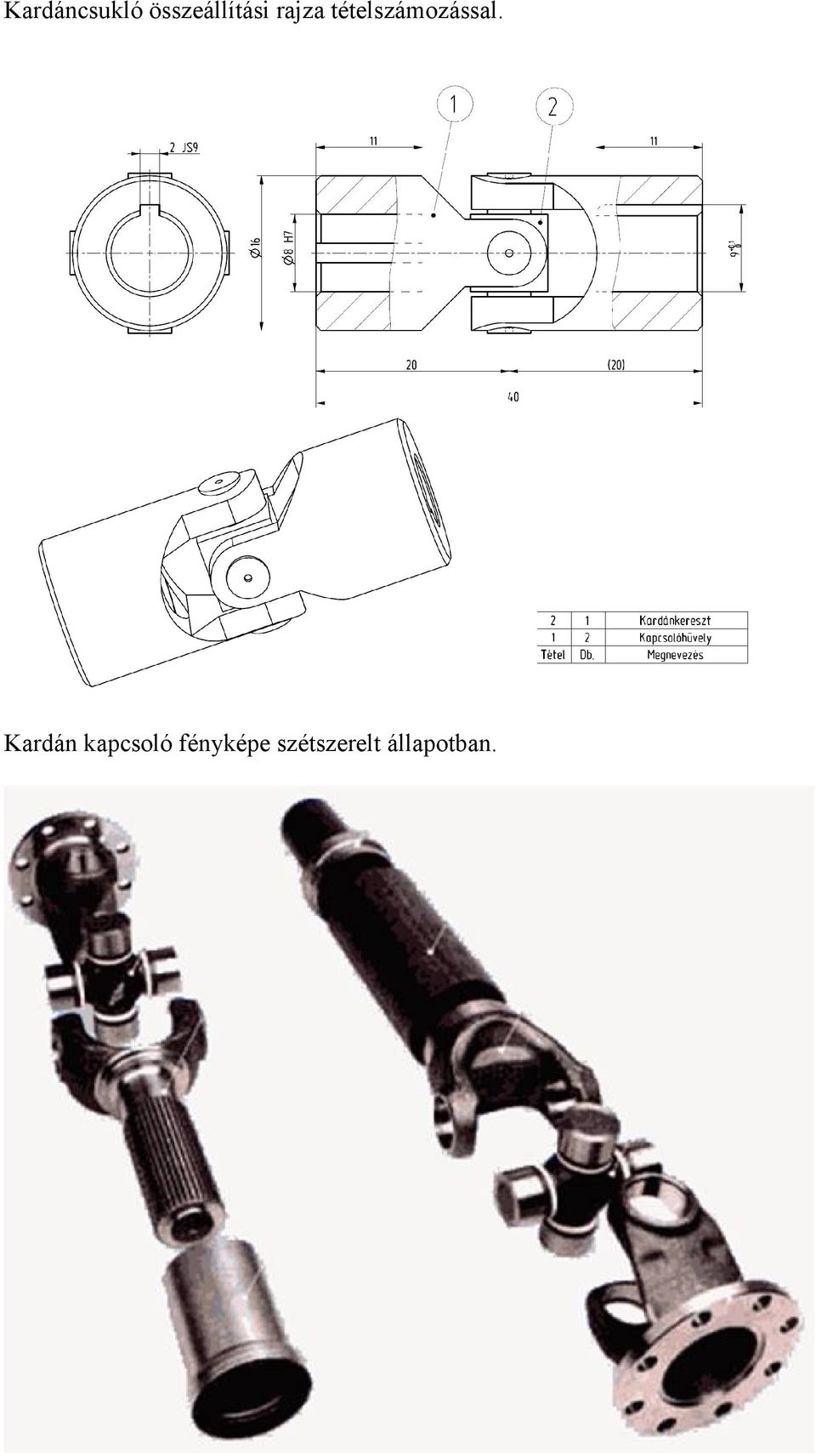 tételszámozással.