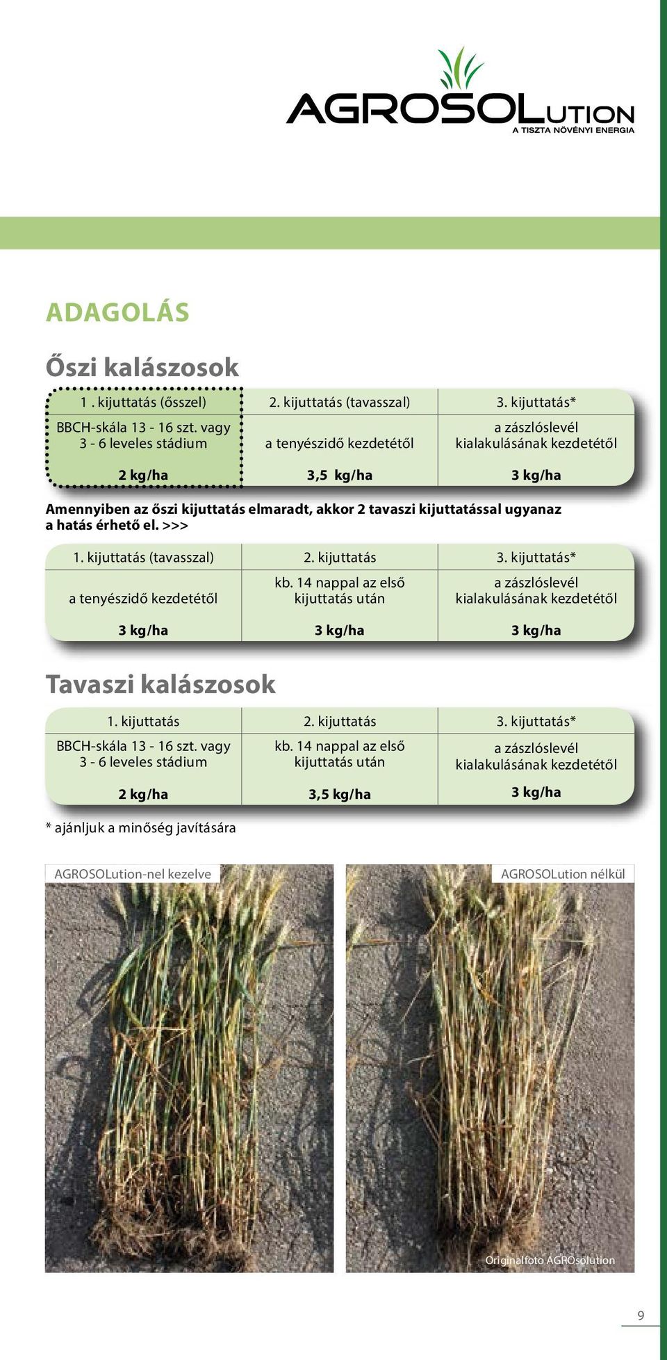 el. >>> 1. kijuttatás (tavasszal) 2. kijuttatás 3. kijuttatás* a tenyészidő kezdetétől kb. 14 nappal az első kijuttatás után a zászlóslevél kialakulásának kezdetétől Tavaszi kalászosok 1.