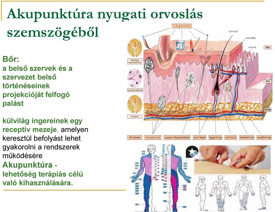 ingereinek egy receptív mezeje, amelyen keresztül befolyást lehet