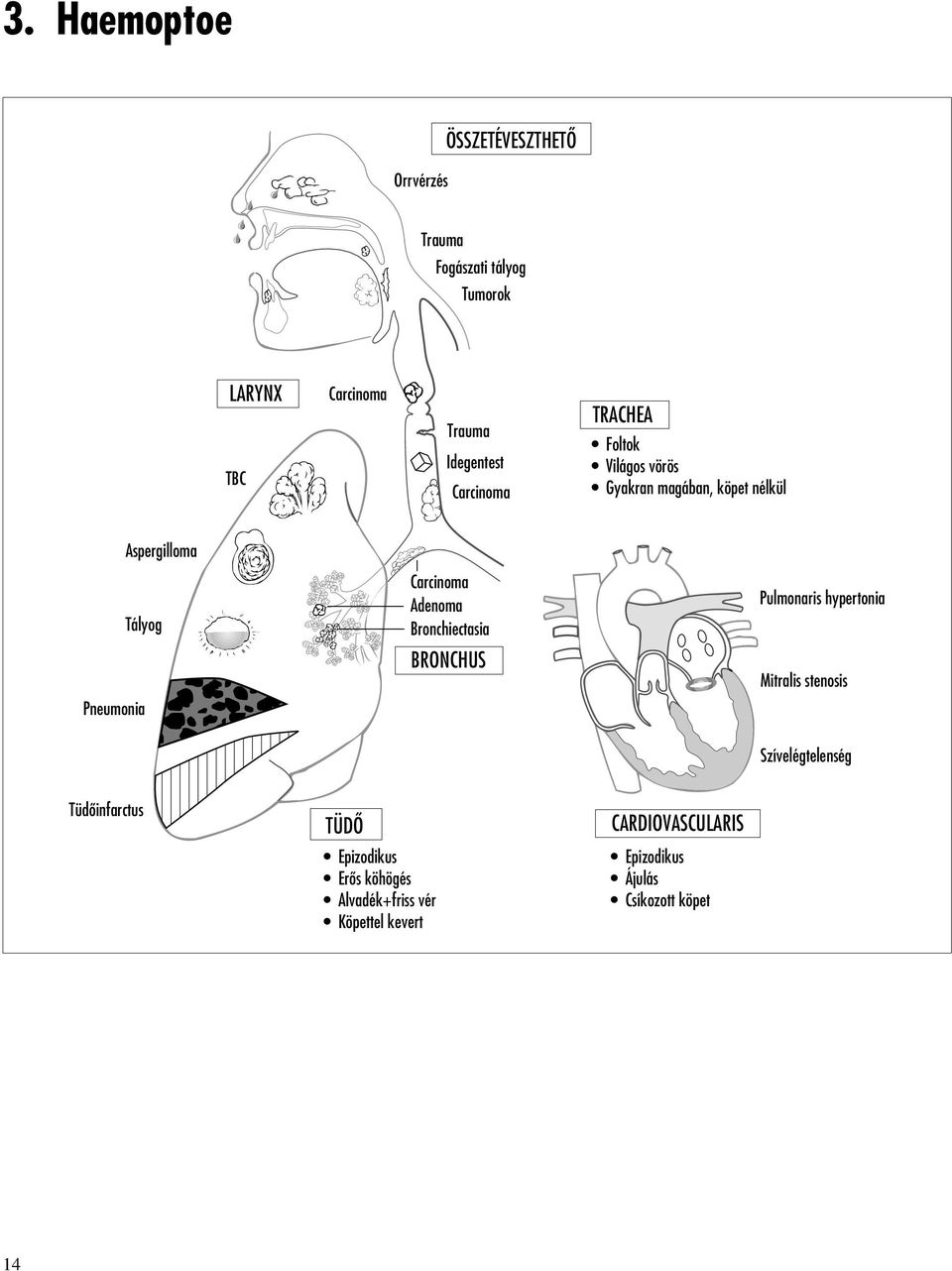 Carcinoma Adenoma Bronchiectasia BRONCHUS Pulmonaris hypertonia Mitralis stenosis Szívelégtelenség