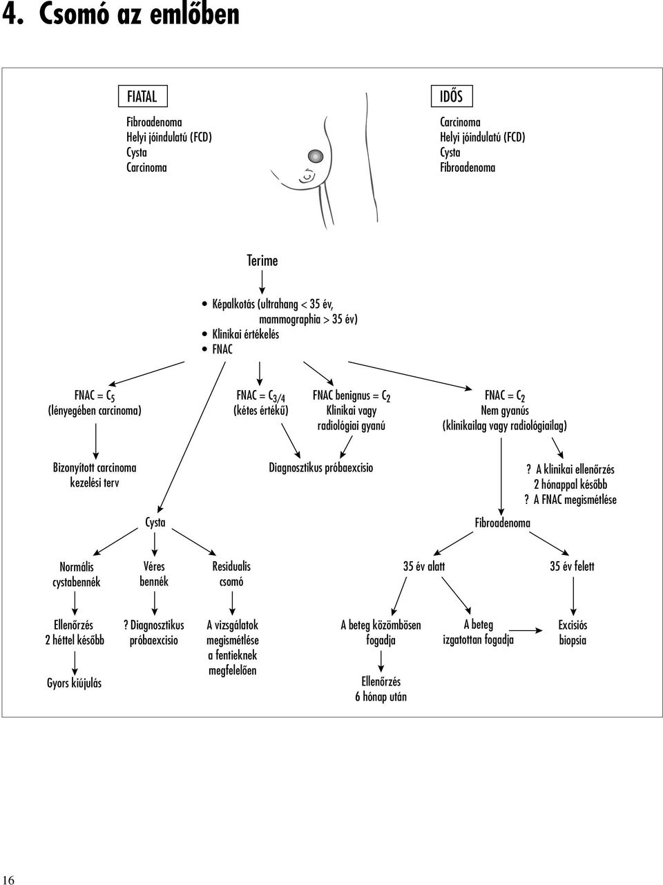 Bizonyított carcinoma kezelési terv Diagnosztikus próbaexcisio? A klinikai ellenôrzés 2 hónappal késôbb?