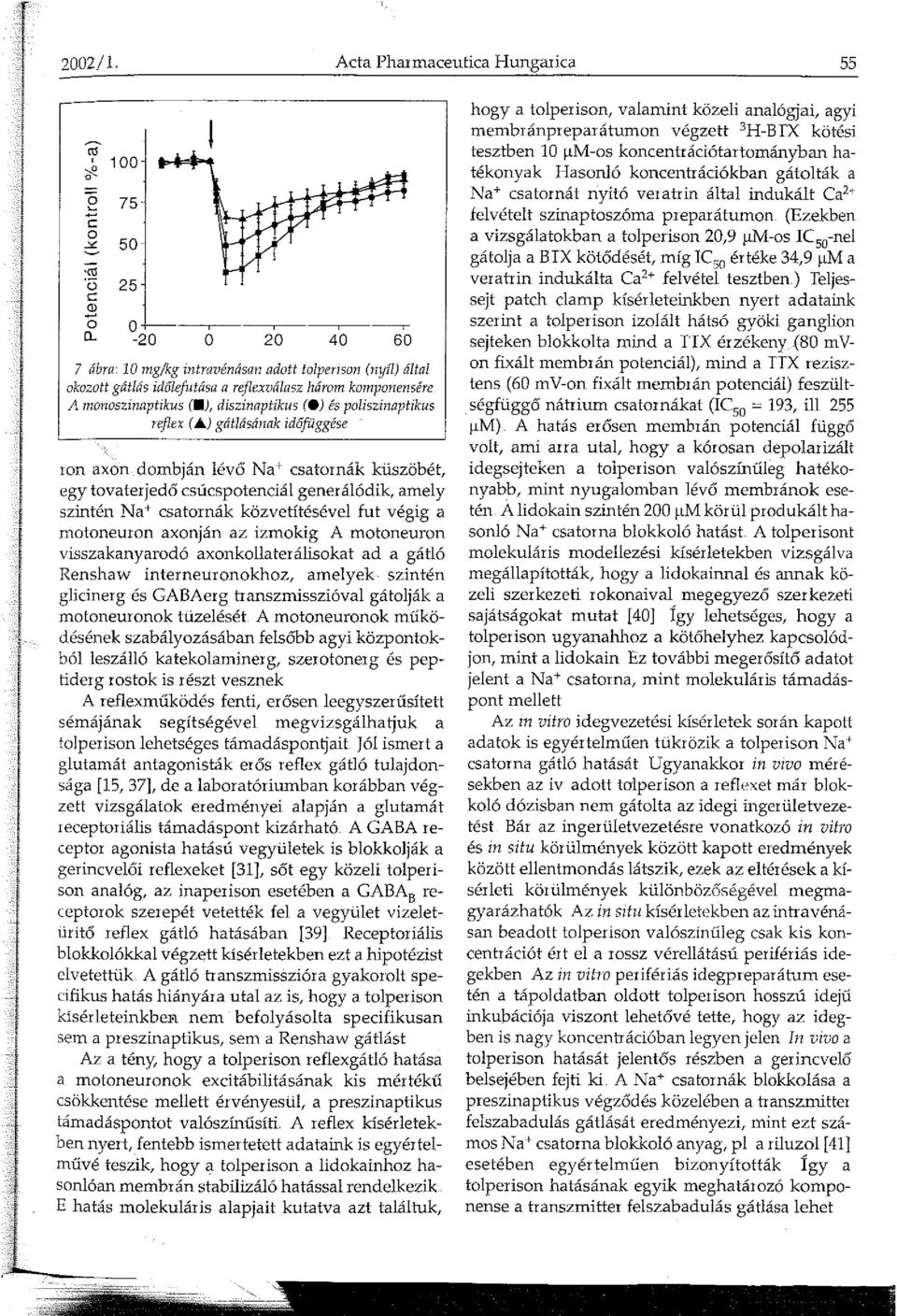 generálódik, amely szintén Na+ csatornák közvetítésével fut végig a motoneuron axonján az izmokig A motoneuron visszakanyarodó axonkollater álisokat ad a gátló Renshaw interneuronokhoz, amelyek