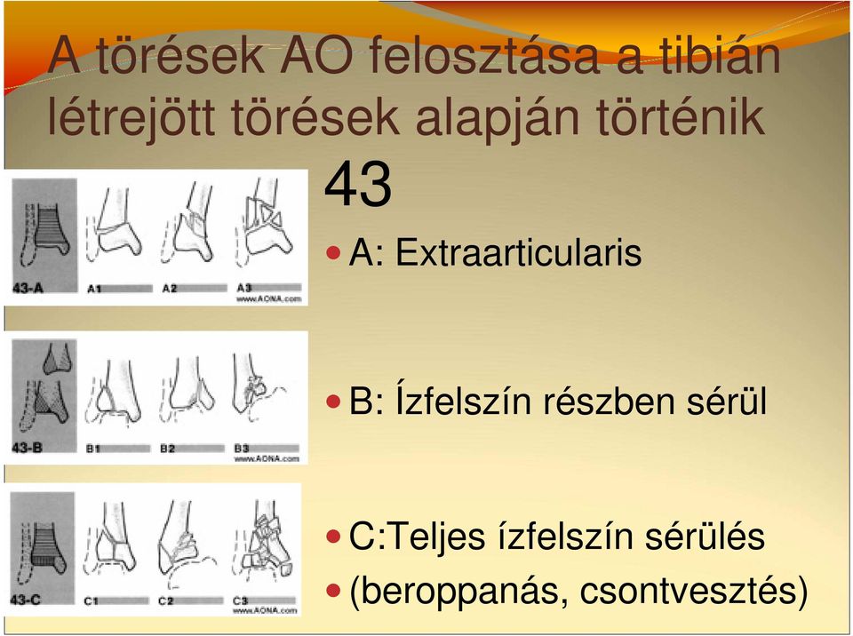 Extraarticularis B: Ízfelszín részben