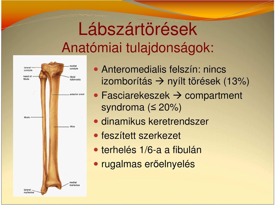 Fasciarekeszek compartment syndroma ( 20%) dinamikus