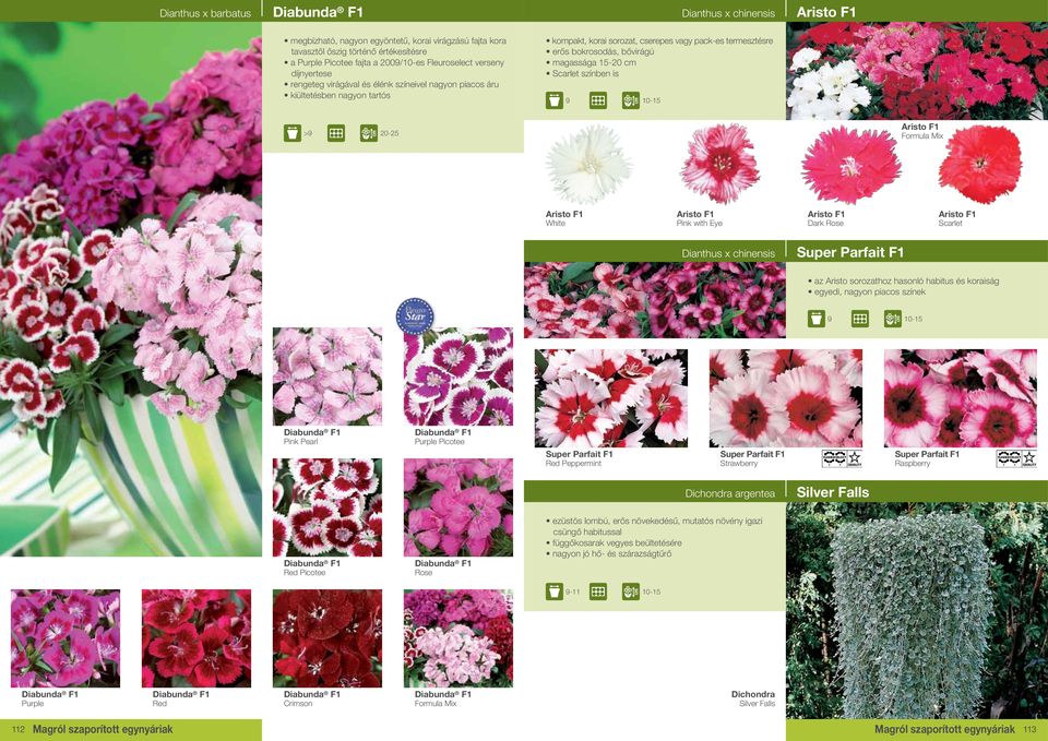 bővirágú magassága 15-20 Scarlet színben is >9 20-25 Aristo F1 Aristo F1 Aristo F1 with Eye Aristo F1 Dark Aristo F1 Scarlet Dianthus x chinensis Super Parfait F1 az Aristo sorozathoz hasonló habitus