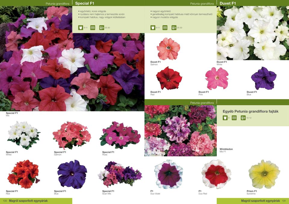 25-30 9-11 25-30 Duvet F1 Salmon Duvet F1 Duvet F1 Duvet F1 Duvet F1 Blue Petunia grandiflora Special F1 Egyéb Petunia grandiflora fajták 9