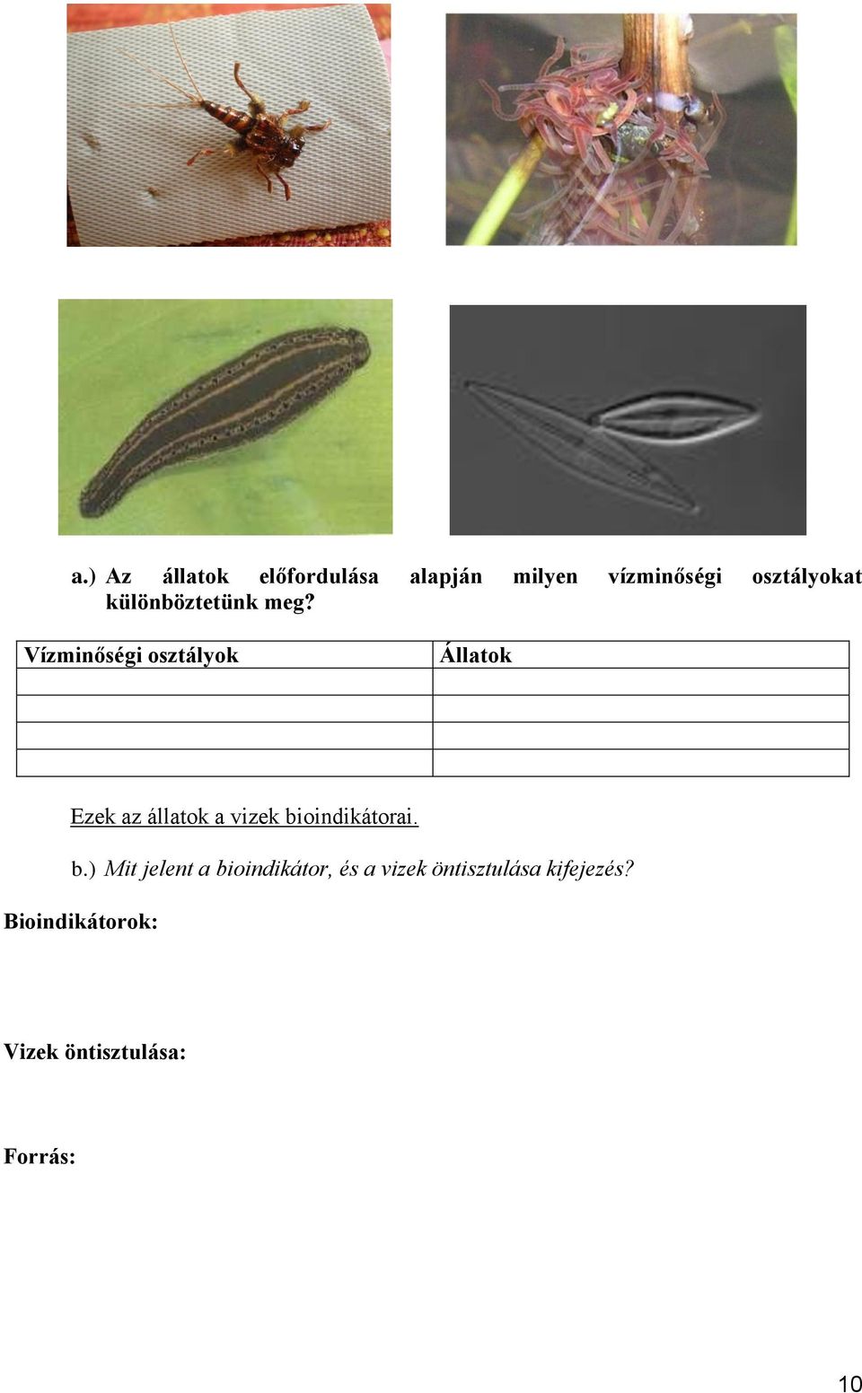 Vízminőségi osztályok Állatok Ezek az állatok a vizek