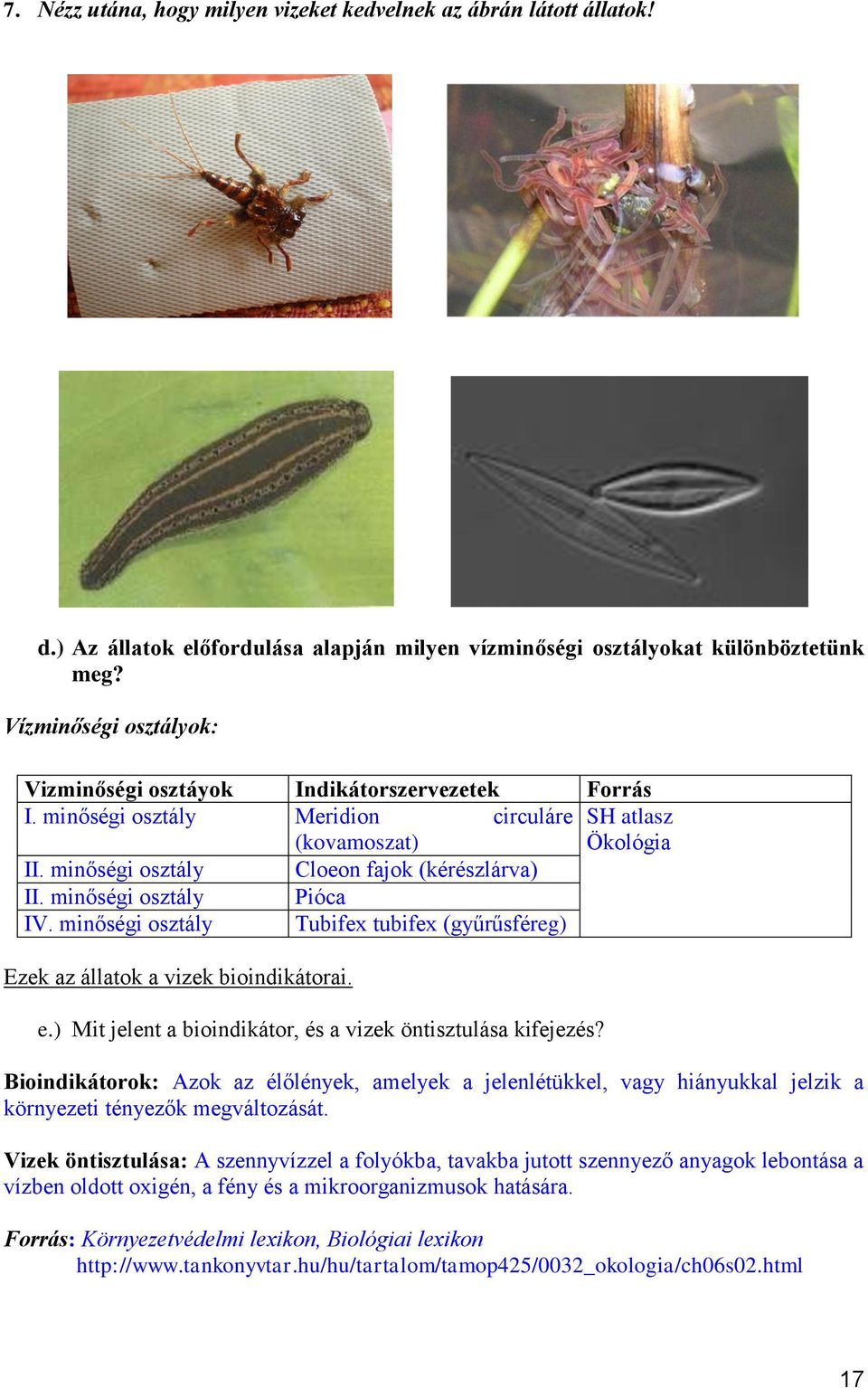 minőségi osztály Pióca IV. minőségi osztály Tubifex tubifex (gyűrűsféreg) Ezek az állatok a vizek bioindikátorai. e.) Mit jelent a bioindikátor, és a vizek öntisztulása kifejezés?