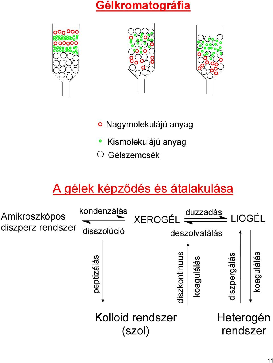 disszolúció duzzadás XEROGÉL deszolvatálás LIOGÉL peptizálás diszkontinuus