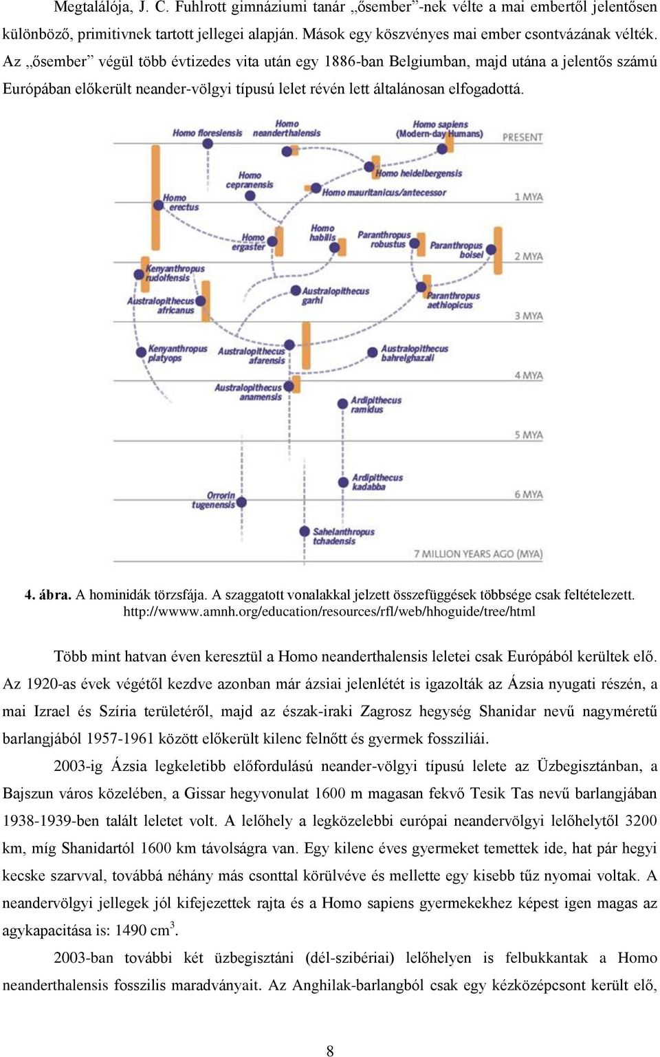 A hominidák törzsfája. A szaggatott vonalakkal jelzett összefüggések többsége csak feltételezett. http://wwww.amnh.