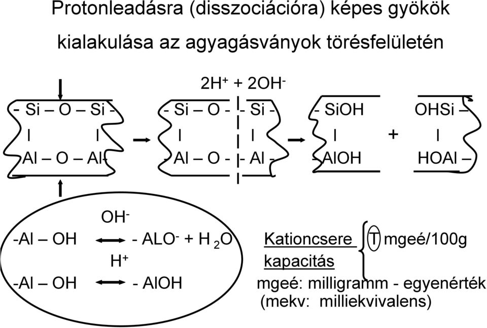 Al O Al- - Al O - - Al - - AlOH HOAl OH - -Al OH - ALO - + H 2 O Kationcsere T