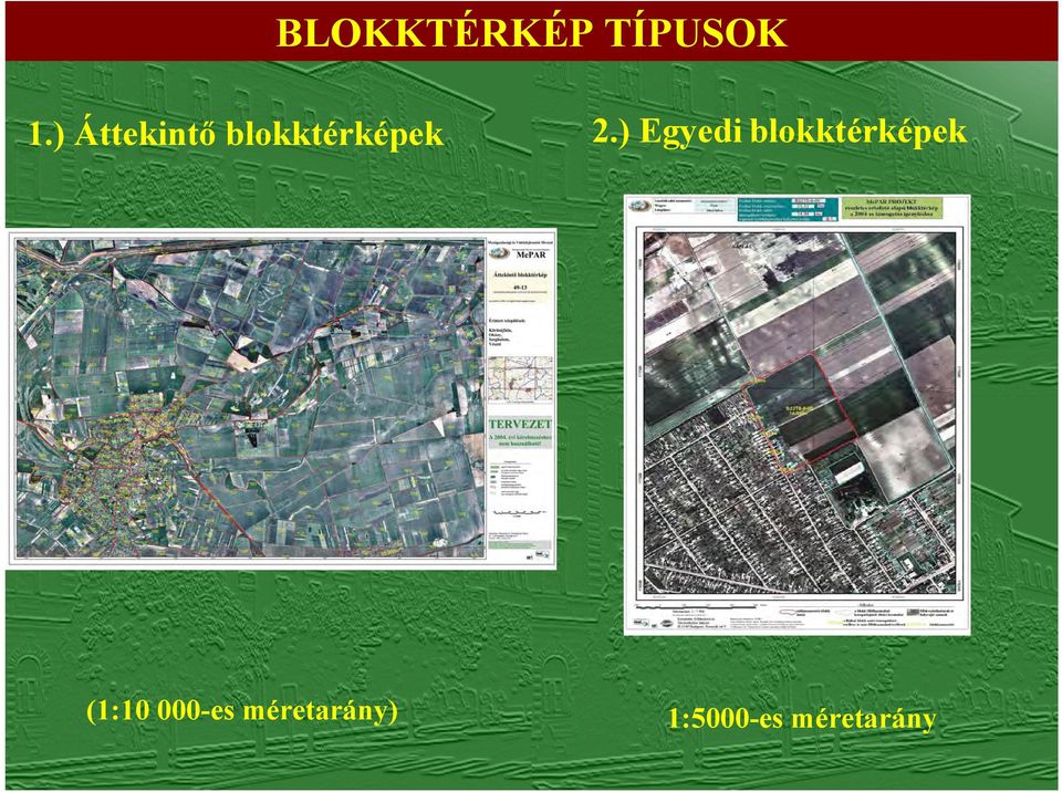 ) Egyedi blokktérképek (1:10