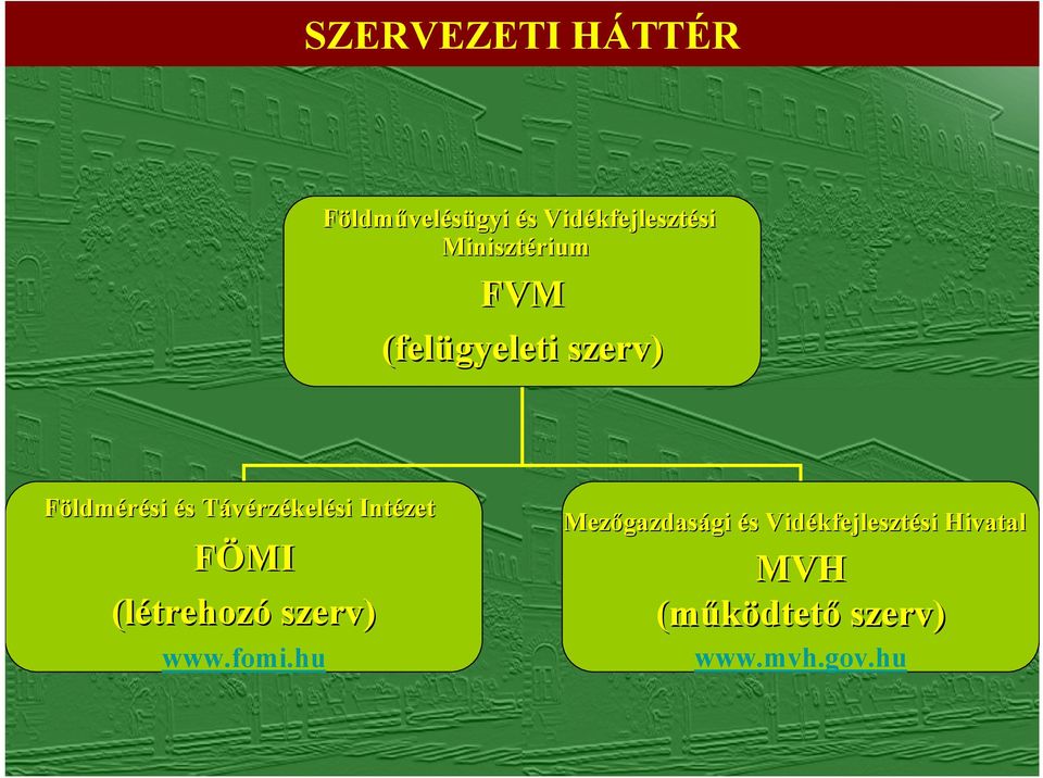 Intézet FÖMI (létrehoz trehozó szerv) www.fomi.