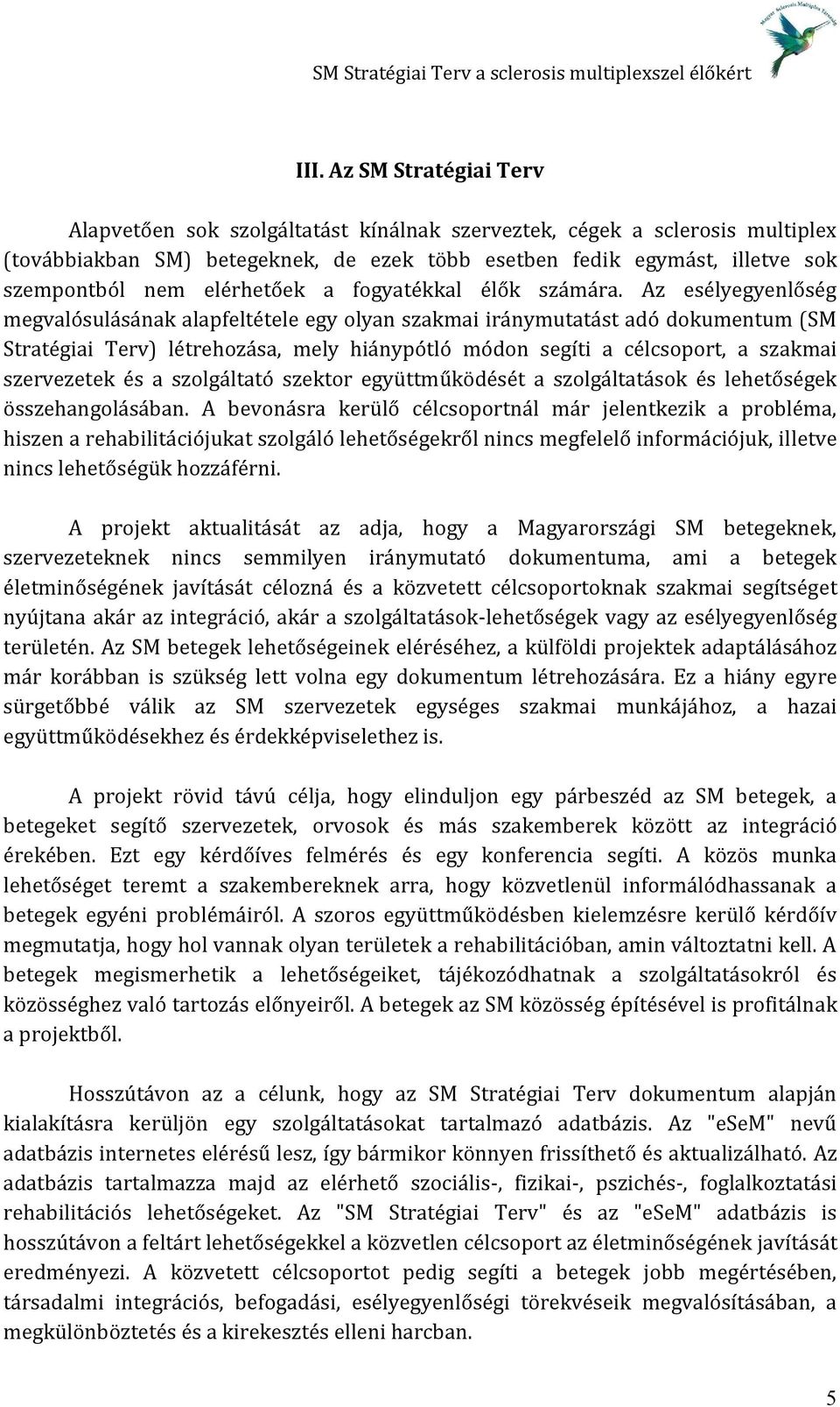 Az esélyegyenlőség megvalósulásának alapfeltétele egy olyan szakmai iránymutatást adó dokumentum (SM Stratégiai Terv) létrehozása, mely hiánypótló módon segíti a célcsoport, a szakmai szervezetek és