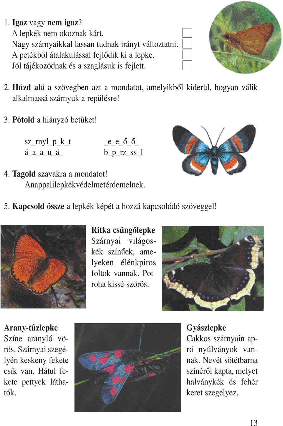 Tagold szavakra a mondatot! Anappalilepkékvédelmetérdemelnek. 5. Kapcsold össze a lepkék képét a hozzá kapcsolódó szöveggel!