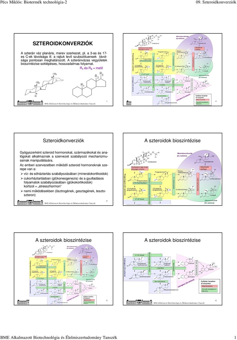 R 1 és R 2 = metil A SZTEROIDOK BIOSZINTÉZISE 1 4 Szteroidkonverziók A szteroidok bioszintézise Gyógyszerként szteroid hormonokat, származékokat és analógokat alkalmaznak a szervezet szabályozó