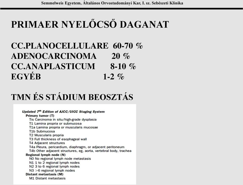 ADENOCARCINOMA 20 % CC.