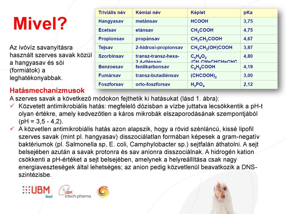 A közvetlen antimikrobiális hatás azon alapszik, hogy a rövid szénláncú, kissé lipofil szerves savak (mint pl. hangyasav) disszociálatlan formában képesek a gram-negatív baktériumok (pl.