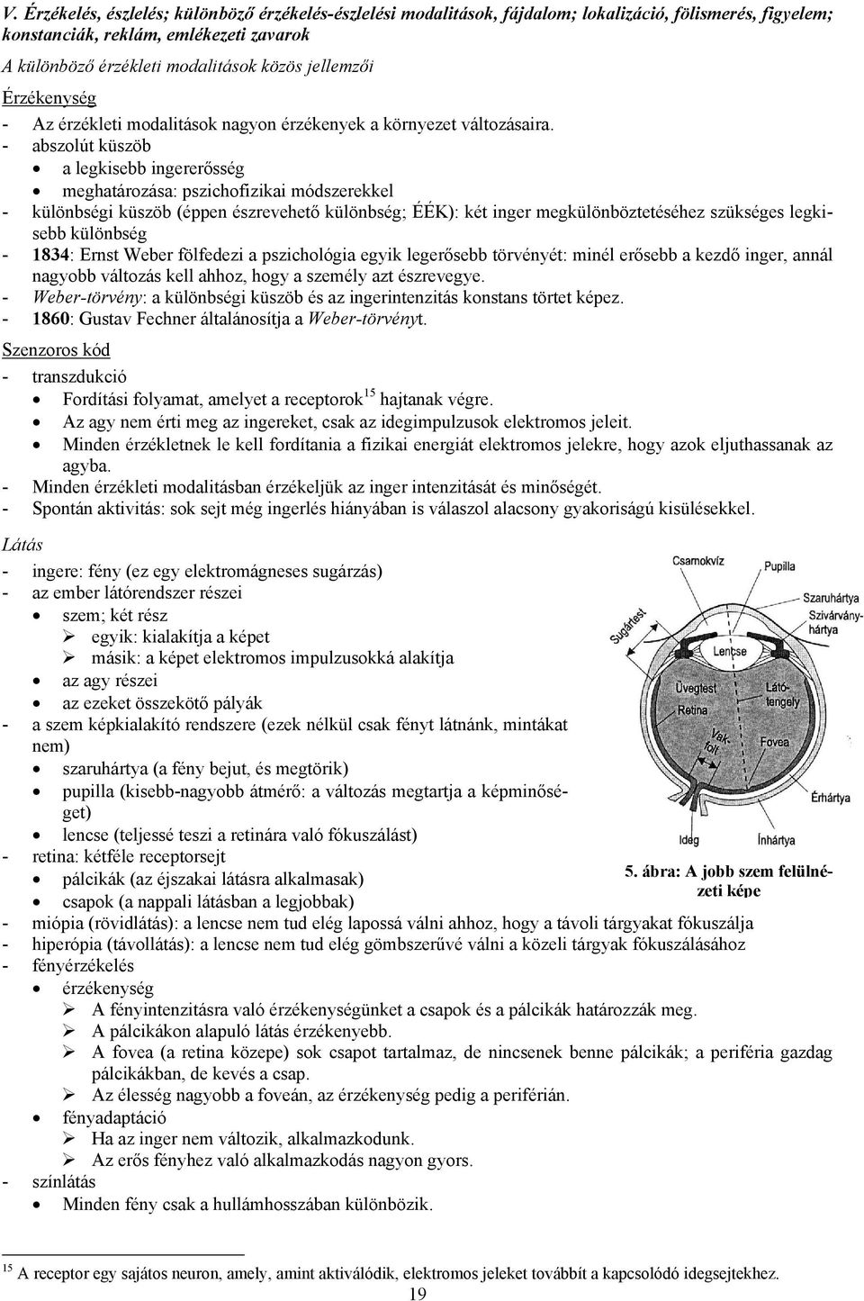 - abszolút küszöb a legkisebb ingererősség meghatározása: pszichofizikai módszerekkel - különbségi küszöb (éppen észrevehető különbség; ÉÉK): két inger megkülönböztetéséhez szükséges legkisebb