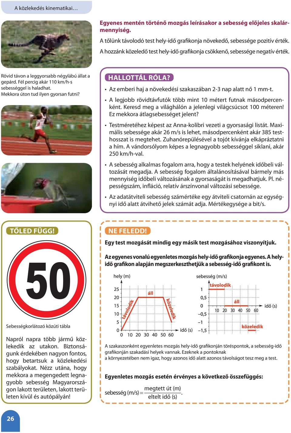 Mekkora úton tud ilyen gyorsan futni? HALLOTTÁL RÓLA? Az emberi haj a növekedési szakaszában 2-3 nap alatt nő 1 mm-t. A legjobb rövidtávfutók több mint 10 métert futnak másodpercenként.