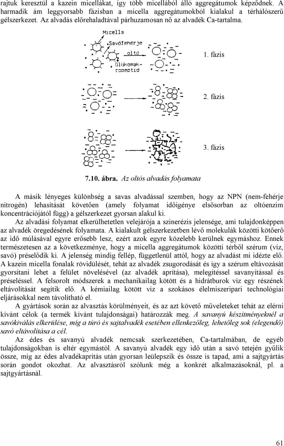 Az oltós alvadás folyamata A másik lényeges különbség a savas alvadással szemben, hogy az NPN (nem-fehérje nitrogén) lehasítását követően (amely folyamat időigénye elsősorban az oltóenzim