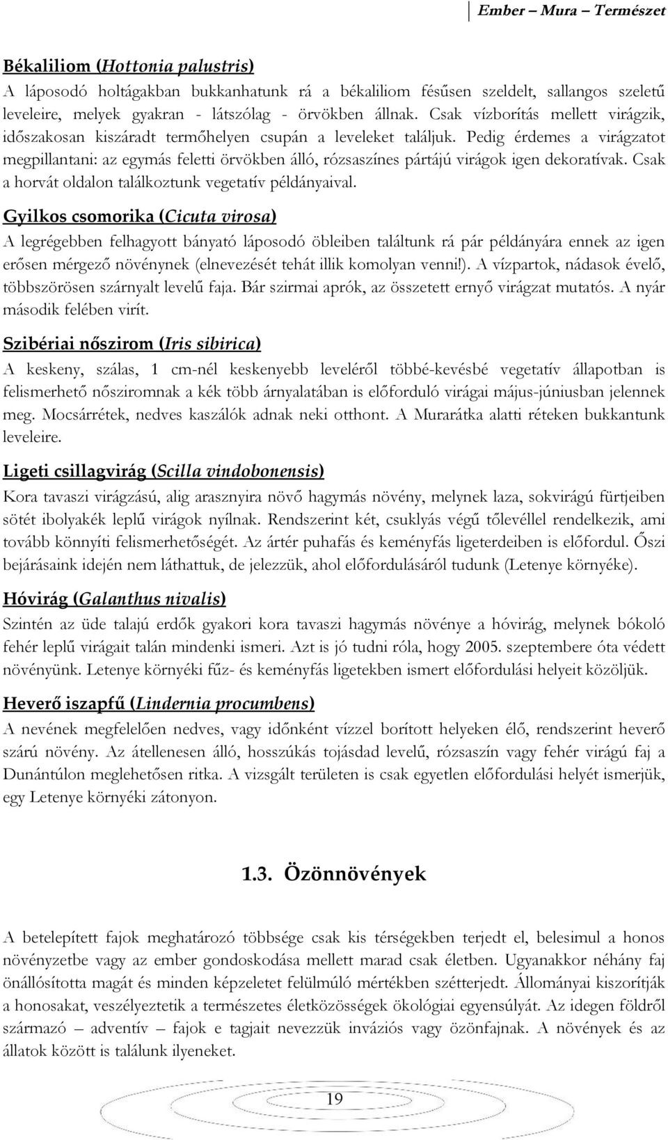 Pedig érdemes a virágzatot megpillantani: az egymás feletti örvökben álló, rózsaszínes pártájú virágok igen dekoratívak. Csak a horvát oldalon találkoztunk vegetatív példányaival.