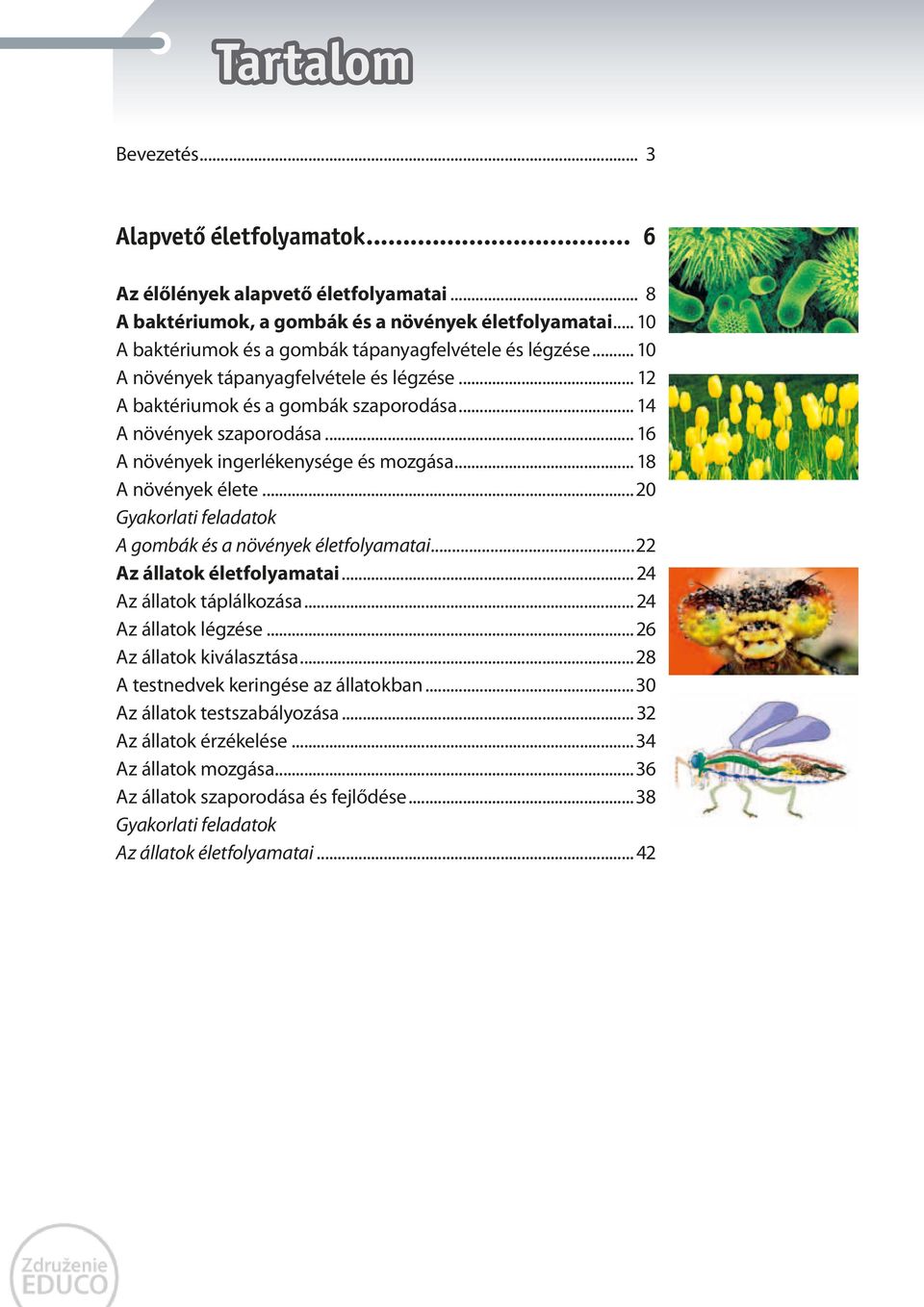 .. 16 A növények ingerlékenysége és mozgása... 18 A növények élete...20 Gyakorlati feladatok A gombák és a növények életfolyamatai...22 Az állatok életfolyamatai... 24 Az állatok táplálkozása.