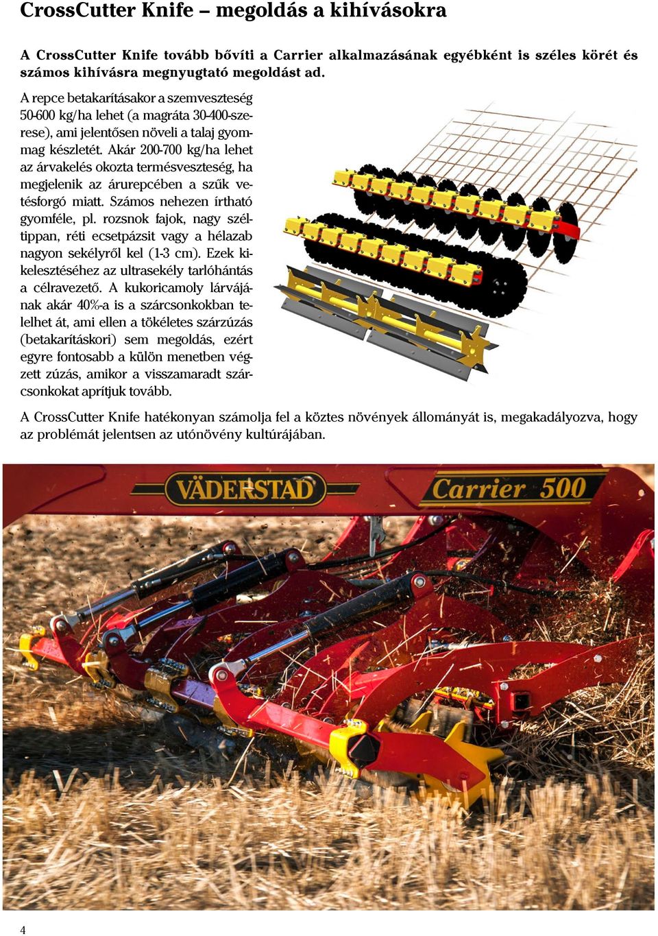 Akár 200-700 kg/ha lehet az árvakelés okozta termésveszteség, ha megjelenik az árurepcében a szűk vetésforgó miatt. Számos nehezen írtható gyomféle, pl.