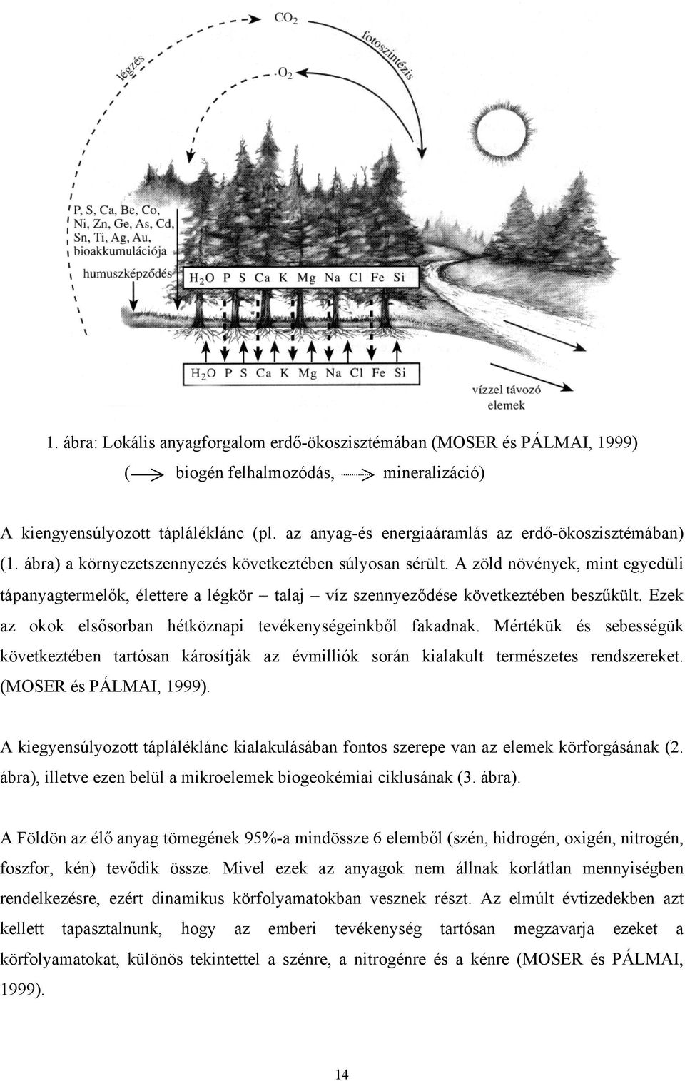 A zöld növények, mint egyedüli tápanyagtermelők, élettere a légkör talaj víz szennyeződése következtében beszűkült. Ezek az okok elsősorban hétköznapi tevékenységeinkből fakadnak.