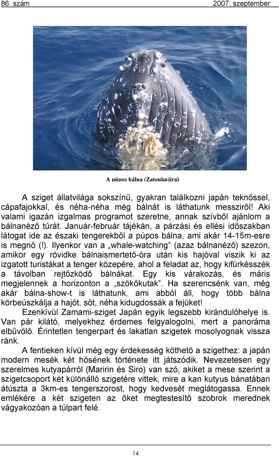 Január-február tájékán, a párzási és ellési időszakban látogat ide az északi tengerekből a púpos bálna, ami akár 14-15m-esre is megnő (!).