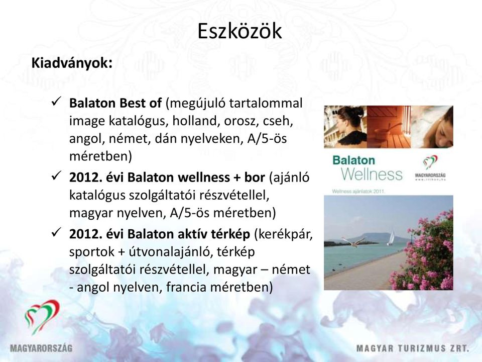 évi Balaton wellness + bor (ajánló katalógus szolgáltatói részvétellel, magyar nyelven, A/5-ös
