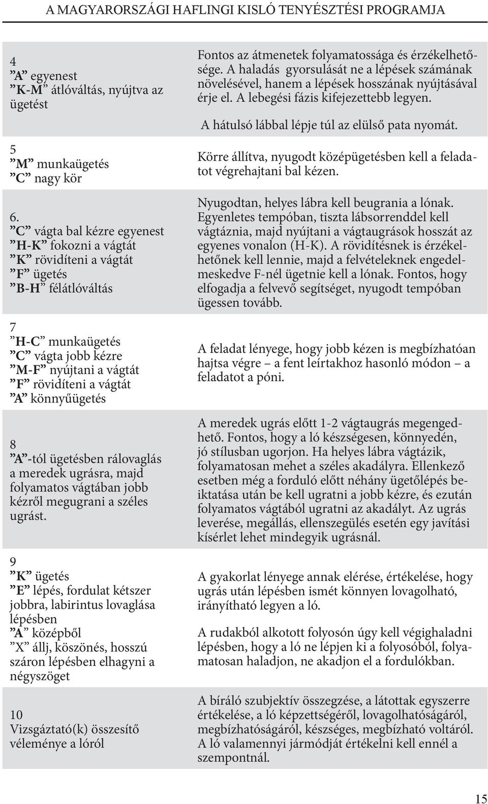 -tól ügetésben rálovaglás a meredek ugrásra, majd folyamatos vágtában jobb kézről megugrani a széles ugrást.