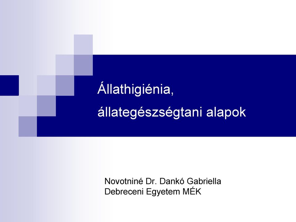 alapok Novotniné Dr.