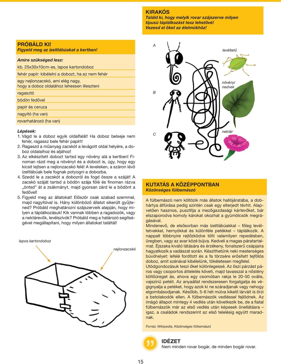 nagyító (ha van) rovarhatározó (ha van) A B levéltetû növényi nedvek Lépések: 1. Vágd le a doboz egyik oldalfalát! Ha doboz belseje nem fehér, ragassz bele fehér papírt! 2.
