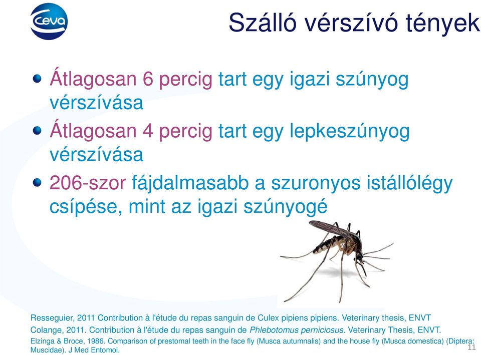 pipiens. Veterinary thesis, ENVT Colange, 2011. Contribution à l'étude du repas sanguin de Phlebotomus perniciosus. Veterinary Thesis, ENVT.