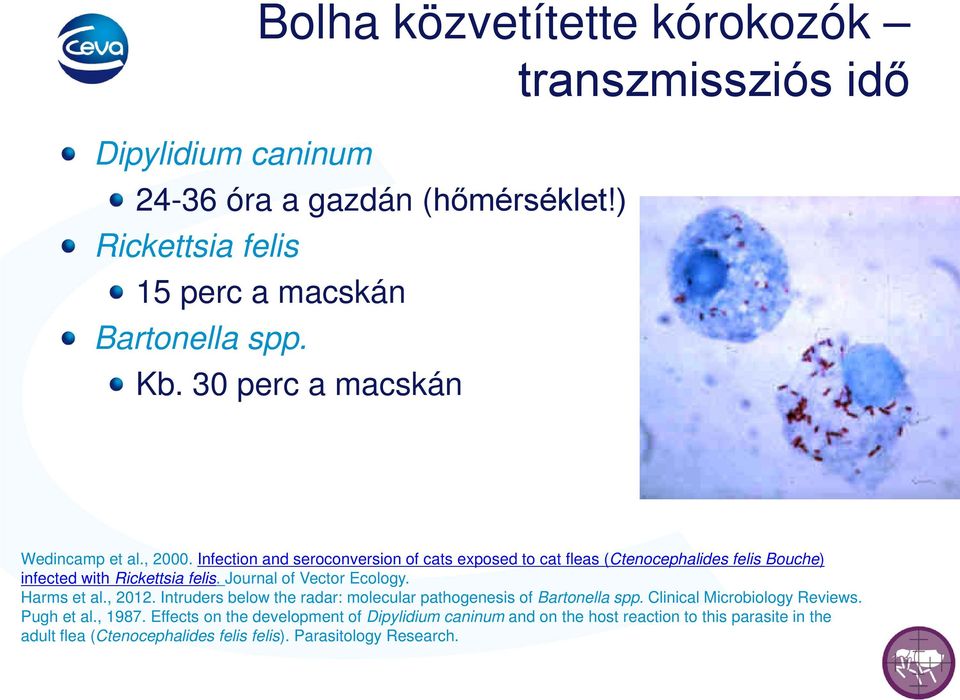 Journal of Vector Ecology. Harms et al., 2012. Intruders below the radar: molecular pathogenesis of Bartonella spp. Clinical Microbiology Reviews. Pugh et al.