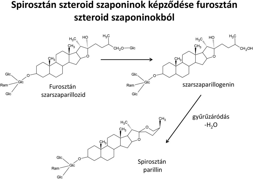 Glc Furosztán szarszaparillozid Ram Glc Glc Glc