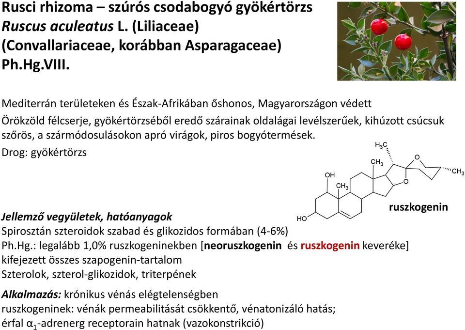 virágok, piros bogyótermések. Drog: gyökértörzs C H H ruszkogenin Jellemző vegyületek, hatóanyagok Spirosztán szteroidok szabad és glikozidos formában (4-6%) Ph.Hg.