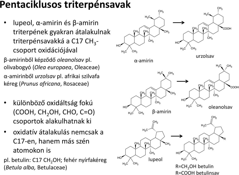 afrikai szilvafa kéreg (Prunus africana, Rosaceae) különböző oxidáltság fokú (CH, CH 2 H, C, C=) csoportok alakulhatnak ki oxidatív átalakulás nemcsak a C17-en, hanem más szén atomokon is pl.