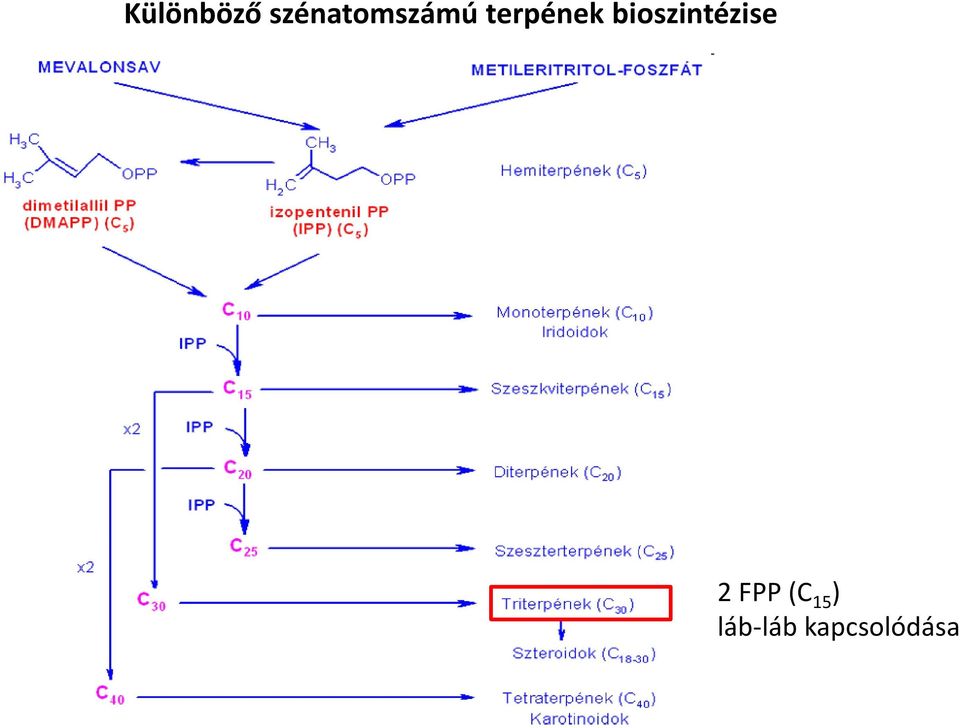 terpének