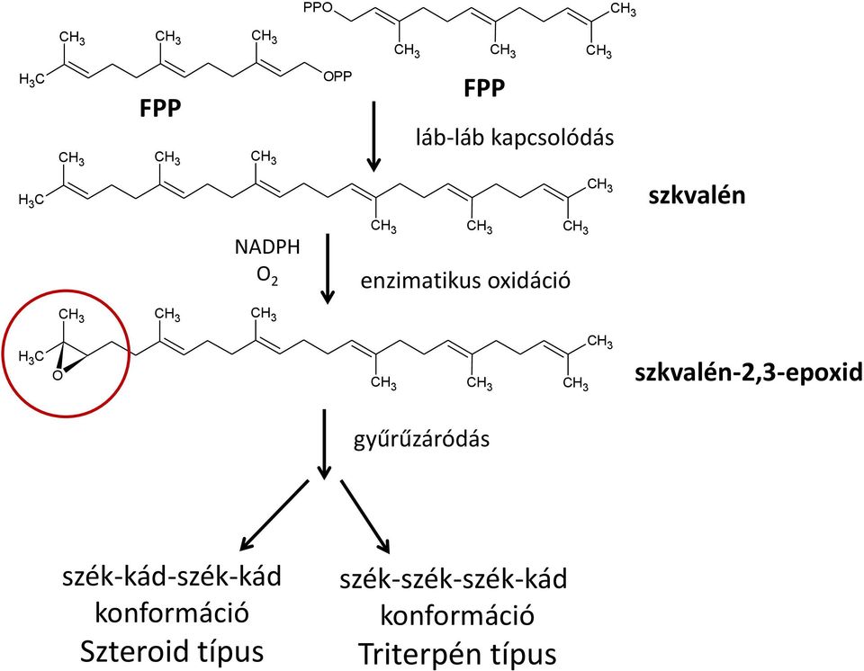 gyűrűzáródás szék-kád-szék-kád konformáció