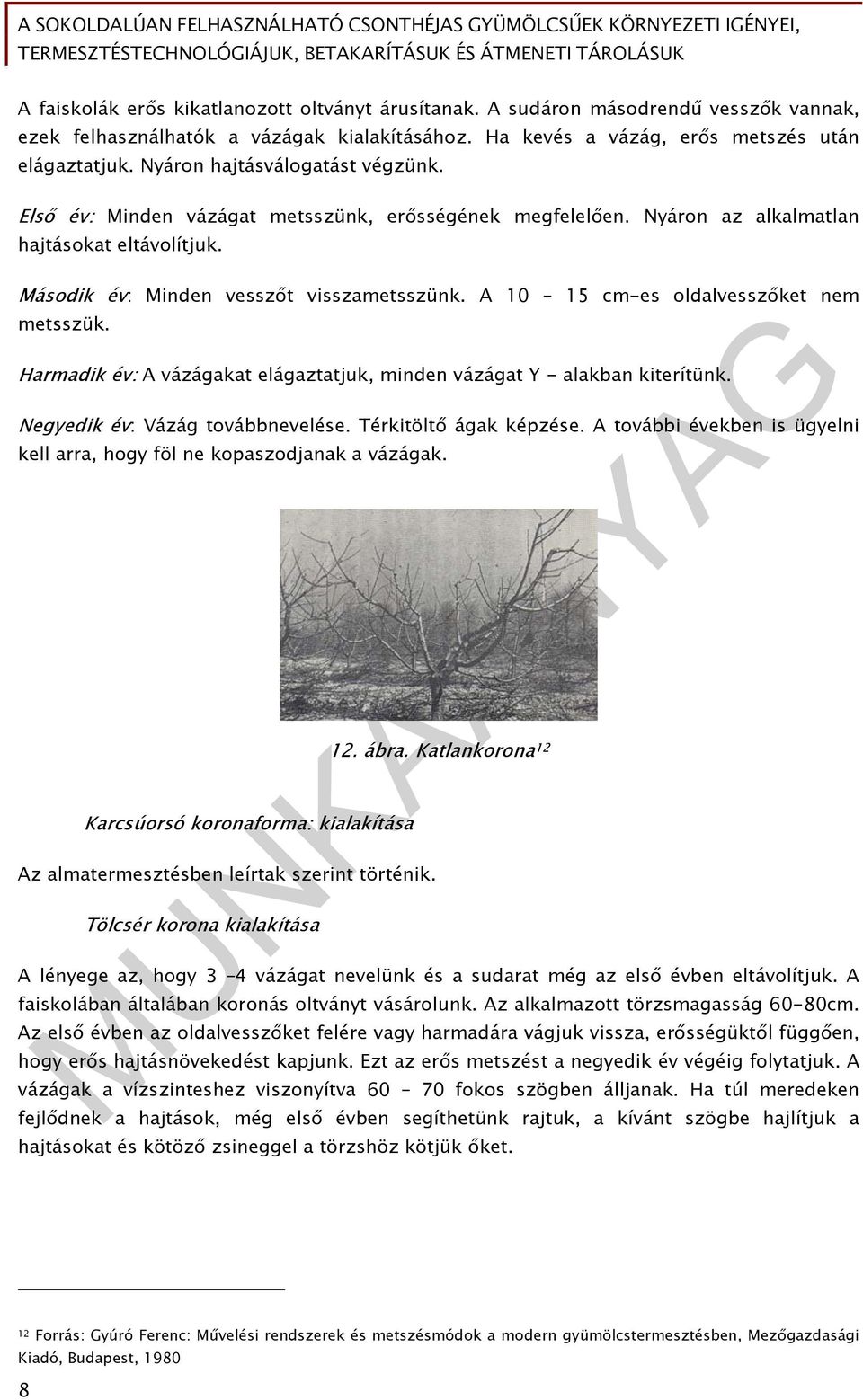 A 10 15 cm-es oldalvesszőket nem metsszük. Harmadik év: A vázágakat elágaztatjuk, minden vázágat Y - alakban kiterítünk. Negyedik év: Vázág továbbnevelése. Térkitöltő ágak képzése.