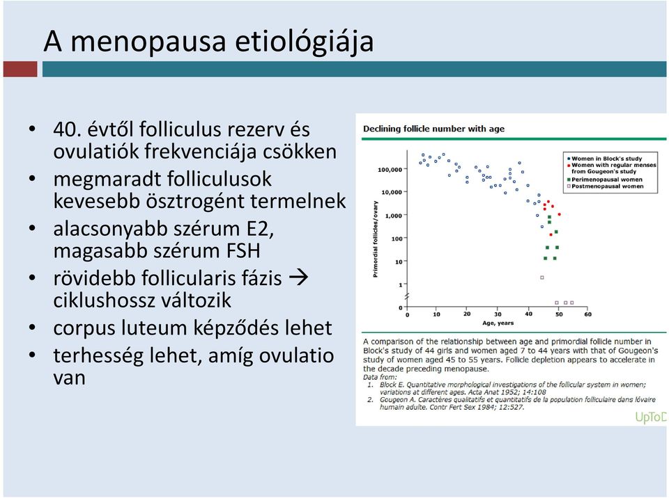 folliculusok kevesebb ösztrogént termelnek alacsonyabb szérum E2,
