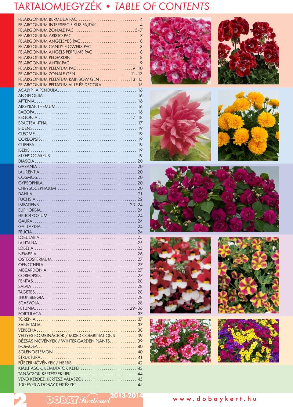 .. 11 13 PELARGONIUM PELTATUM RAINBOW GEN... 13 15 PELARGONIUM PELTATUM VILLE ÉS DECORA...15 ACALYPHA PENDULA...16 ANGELONIA...16 APTENIA...16 ARGYRANTHEMUM...16 BACOPA...16 BEGONIA.