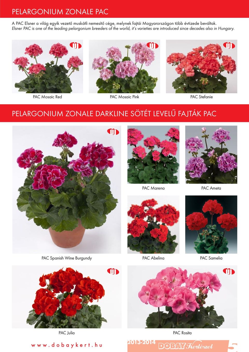 Elsner PAC is one of the leading pelargonium breeders of the world, it s varieties are introduced since decades